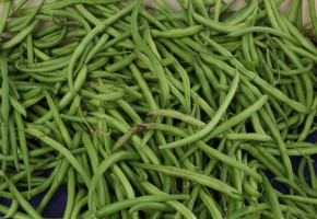 Yard Long Bean-Aroma(100gm)